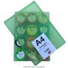 Green Translucent A4 Plastic Craft Storage Box
