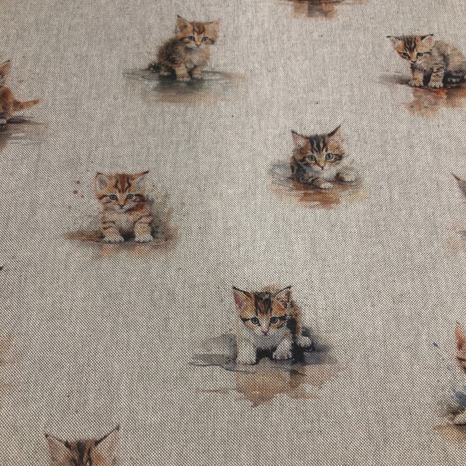 Cotton Canvas - CC041