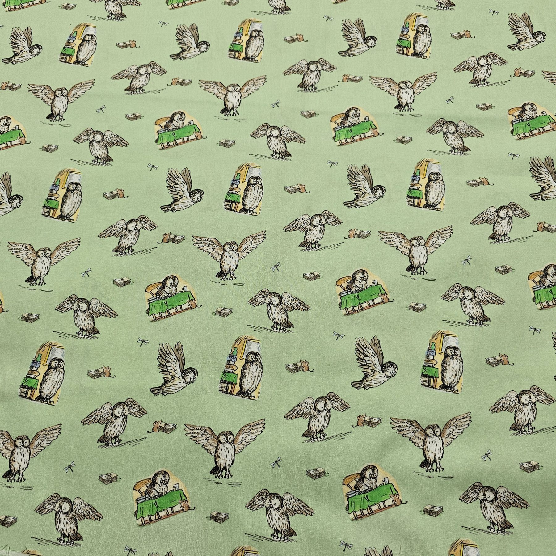 Winnie the Pooh Owl - CC049