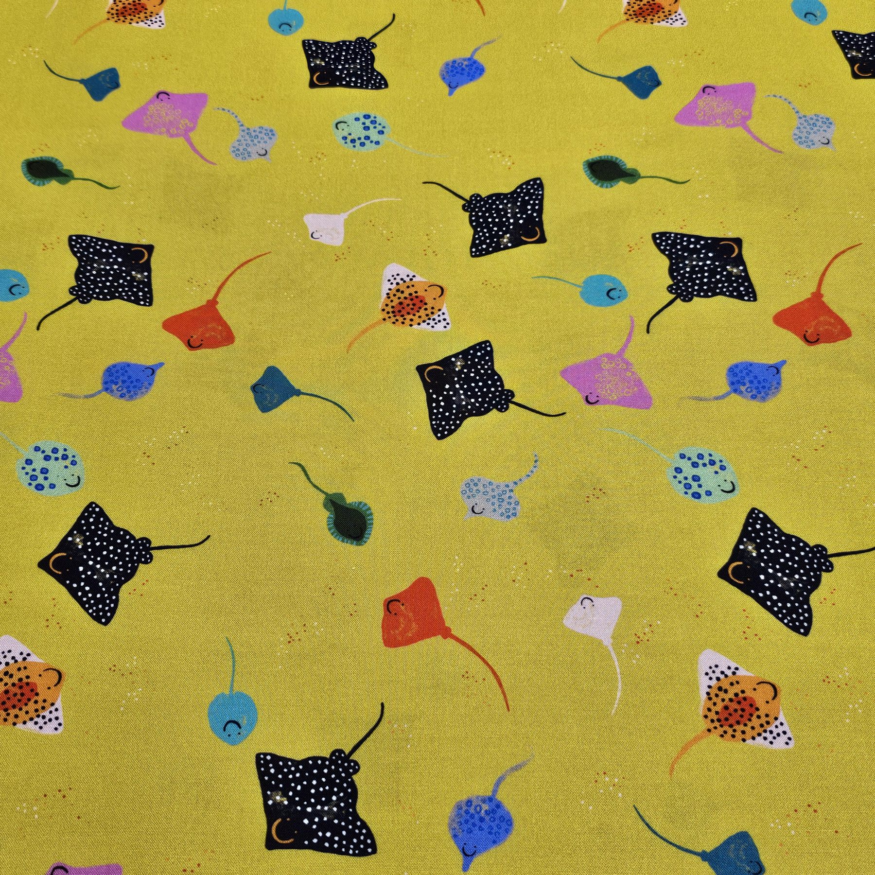 Dashwood Studio - Skates and Rays - Aquatic Paradise  - D002