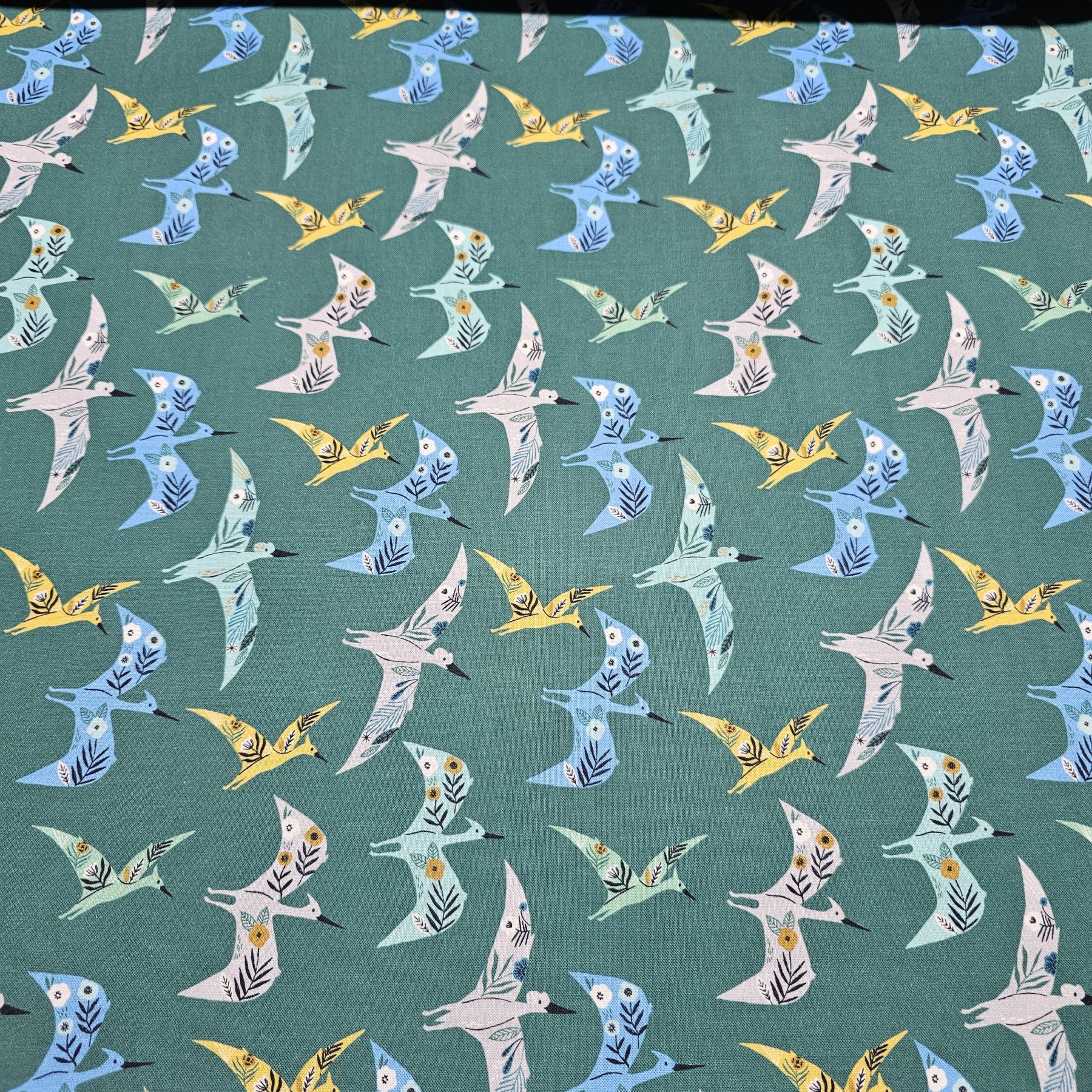 Dashwood Studio - ROAR by Bethan Janine - Dinosaurs - D010