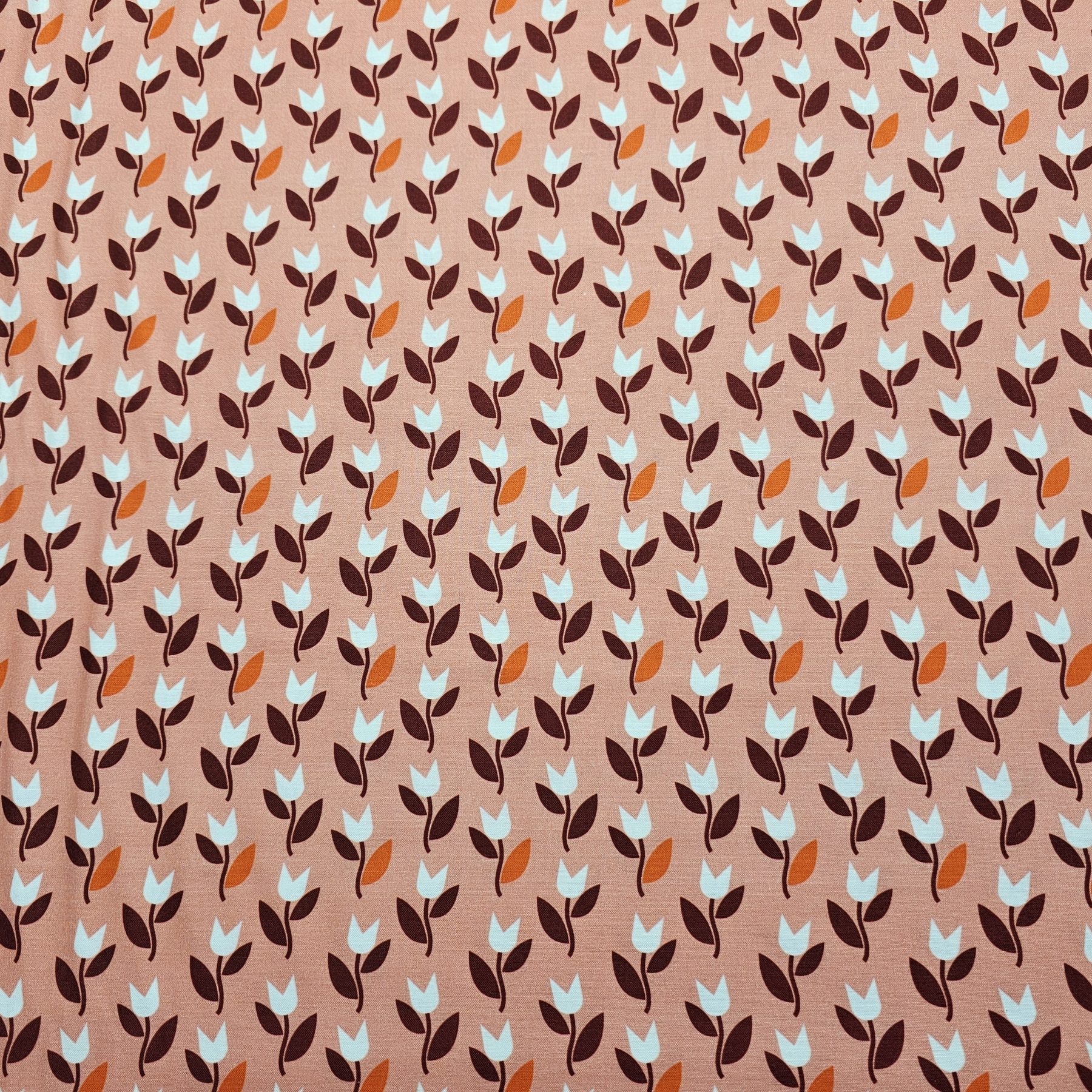 Dashwood Studio - Hello Velo by Jilly Phillips - D046