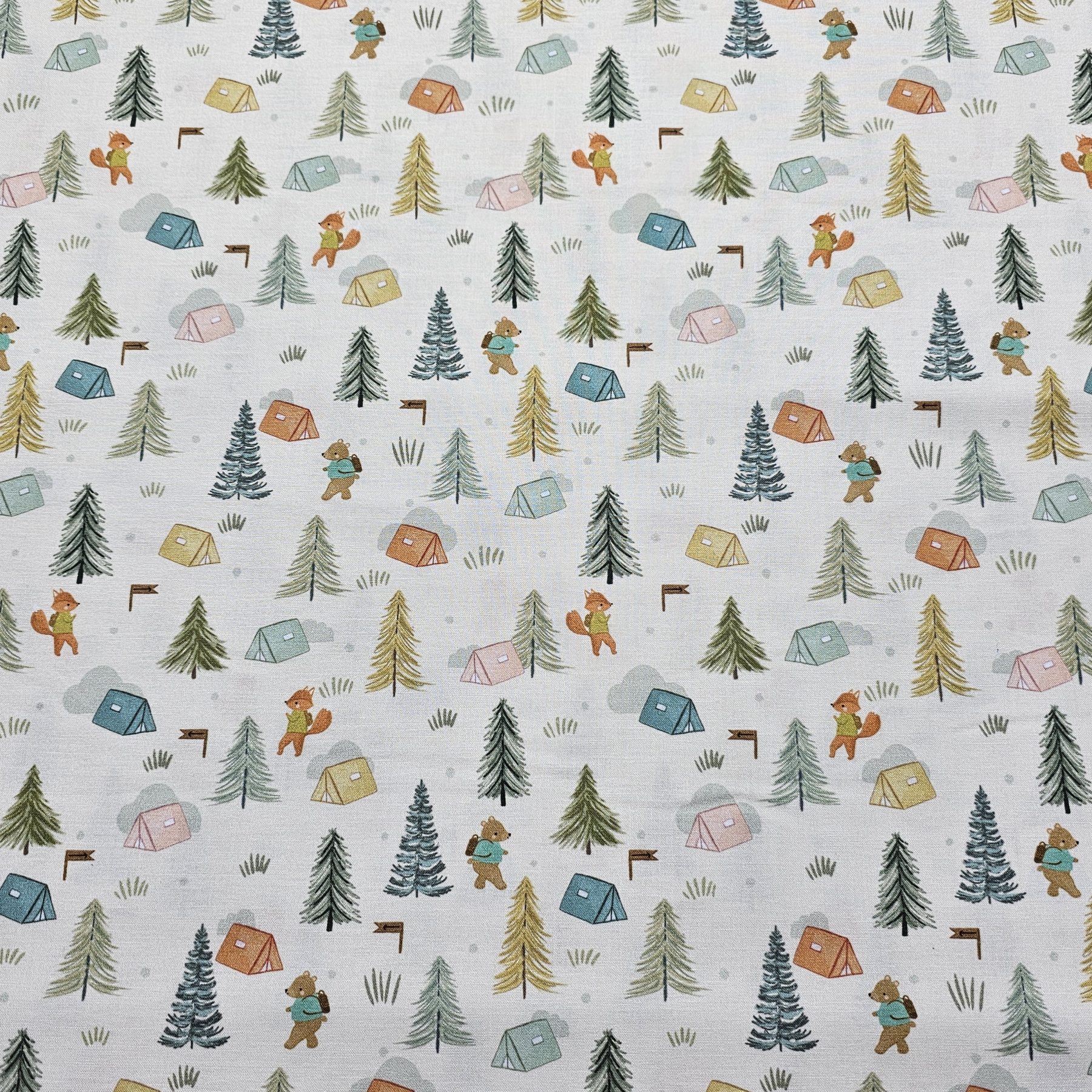 Dashwood Studio - Cedar Camp Collection by Ramble & Bramble - D048