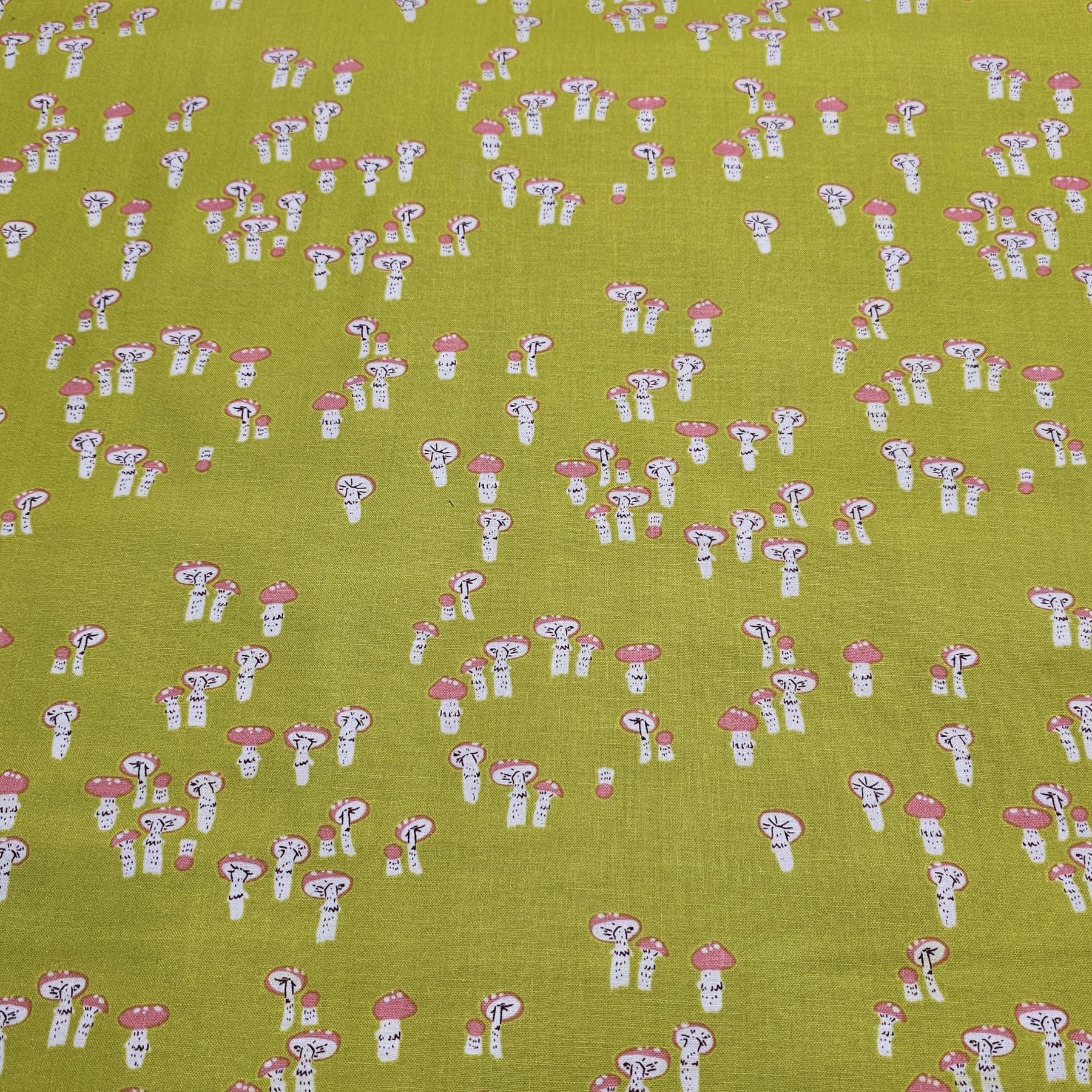 Windham - Far Far Away 3 by Heather Ross - W002