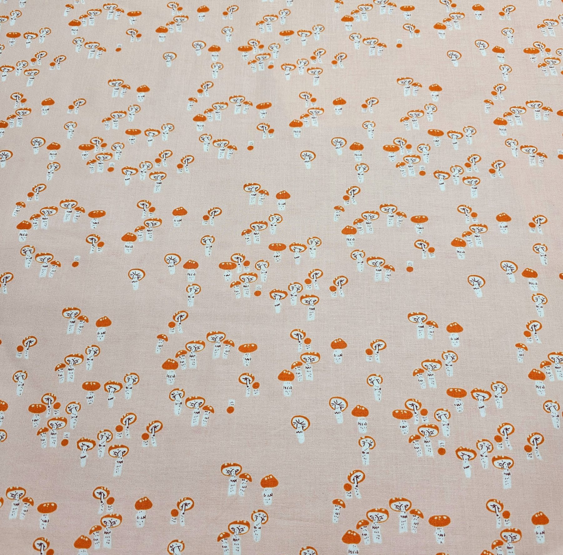 Windham - Far Far Away 3 by Heather Ross - W001