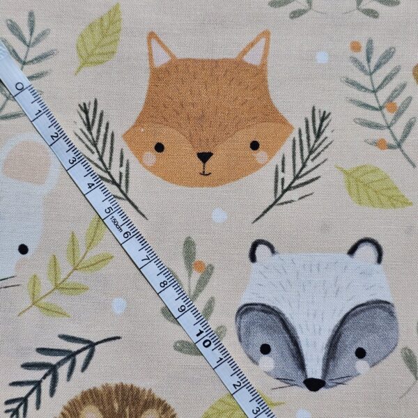 Dashwood Studio - Cedar Camp Collection by Ramble & Bramble - D056