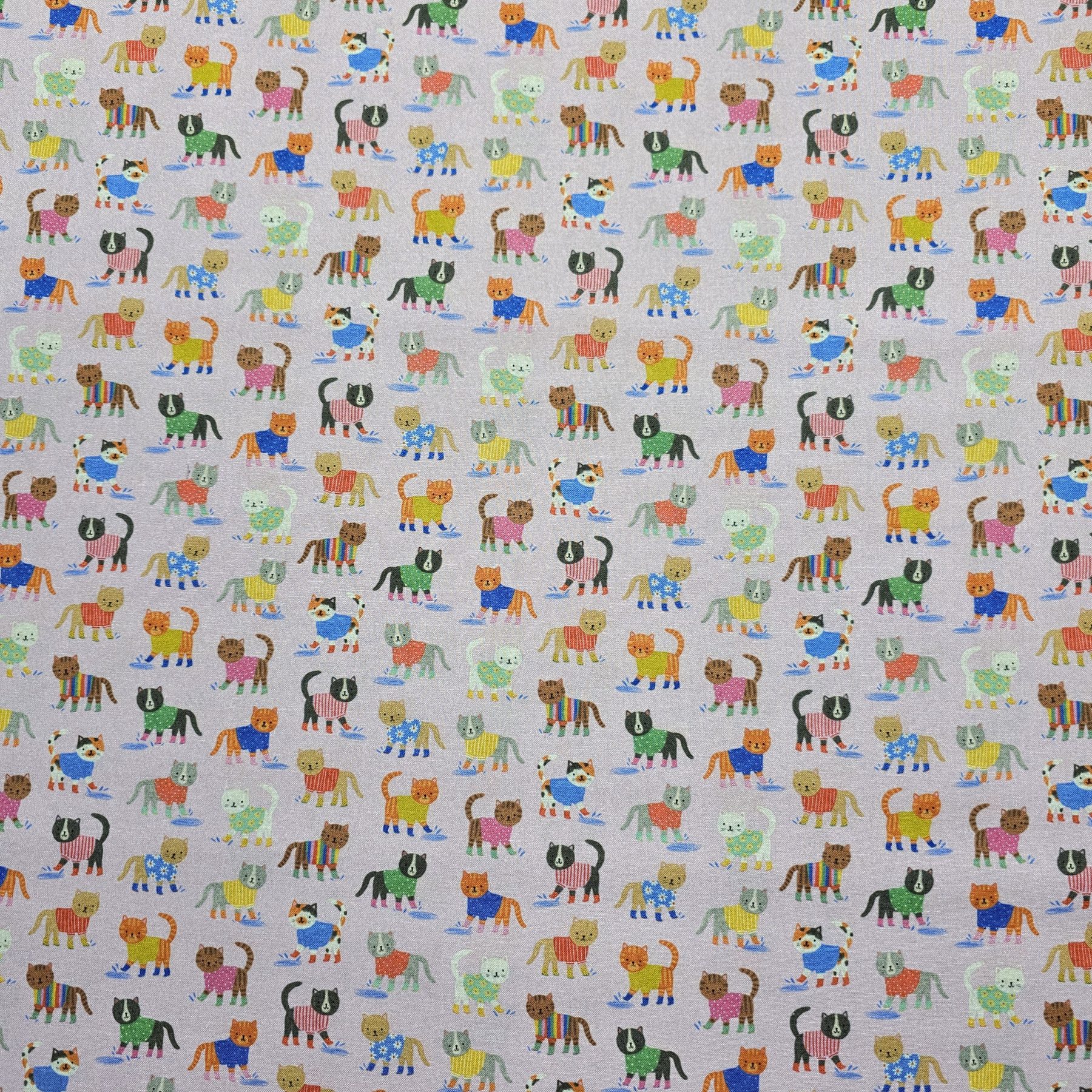 Dashwood Studio - Splash! by Kate McFarlane - D058