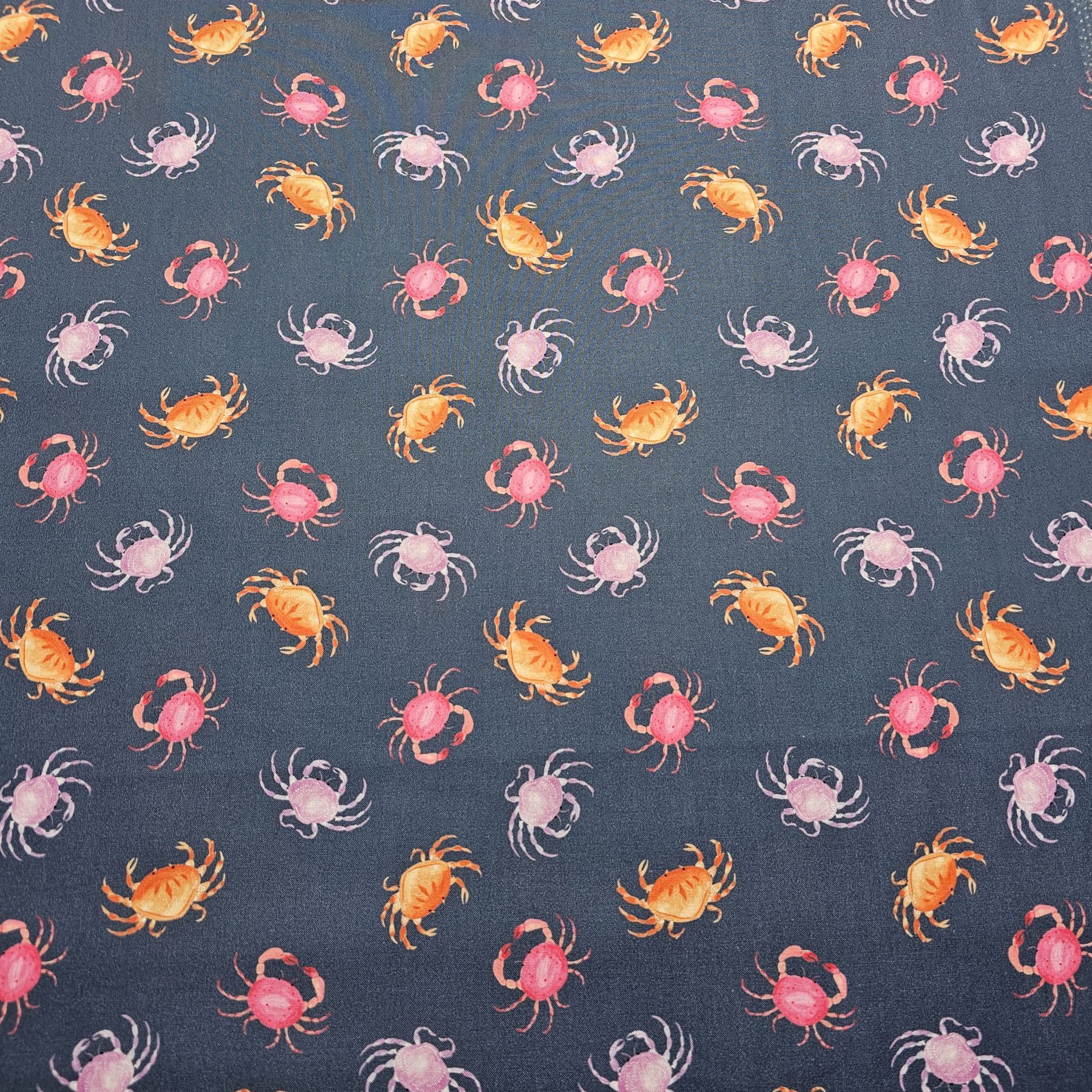 Dashwood Studio - Coral Coast by Sarah Knight - D067