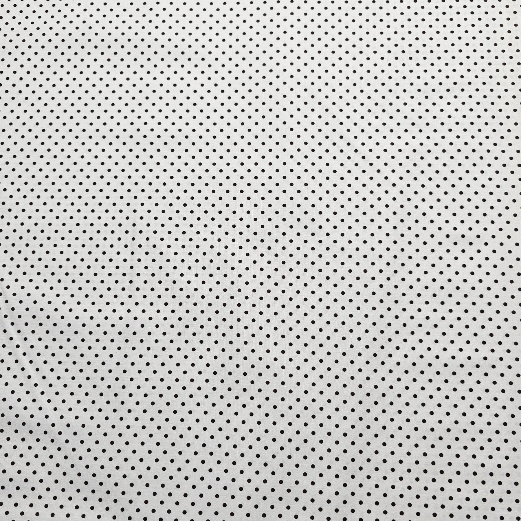 Sevenberry - Ivory with Brown dots S0008