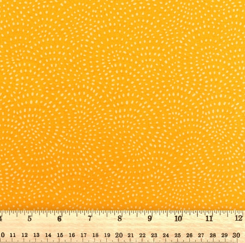Dashwood Studio - Twist Honey - D099