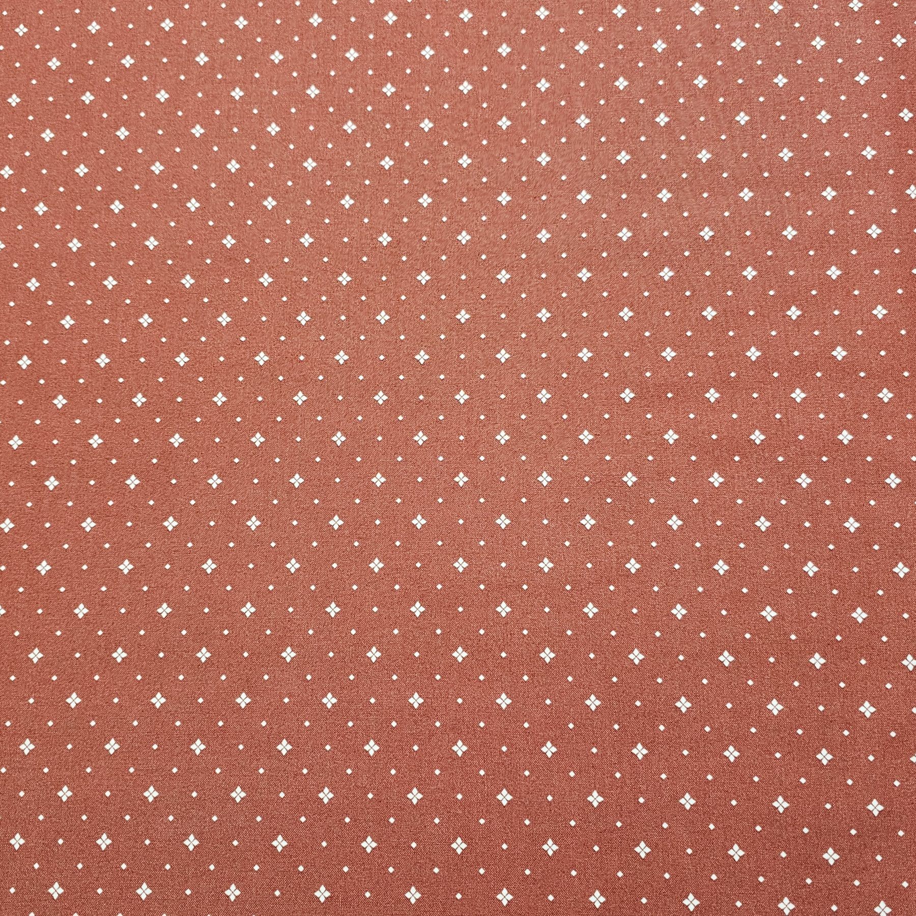 Riley Blake - Arrival Of Winter Fabric - RB018