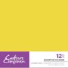 Crafter's Companion A4 Funky Pack - Assorted Pack of 12pc