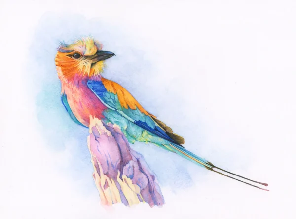 EssentialsAquaBlendillustration AquaBlend by Spectrum noir – Essentials Collection – 24 pc