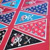 Fabric Panel - Pirate Bunting - Panel 29