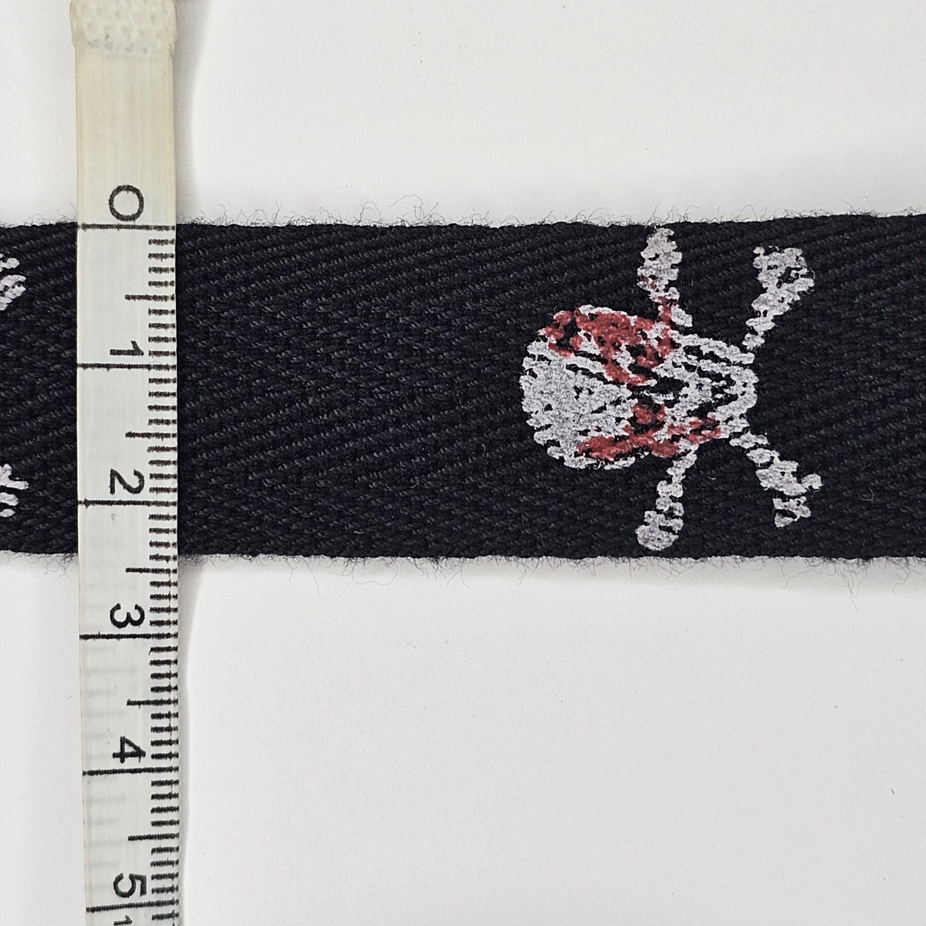 Skulls Trimmings - 3 metres - TP3017