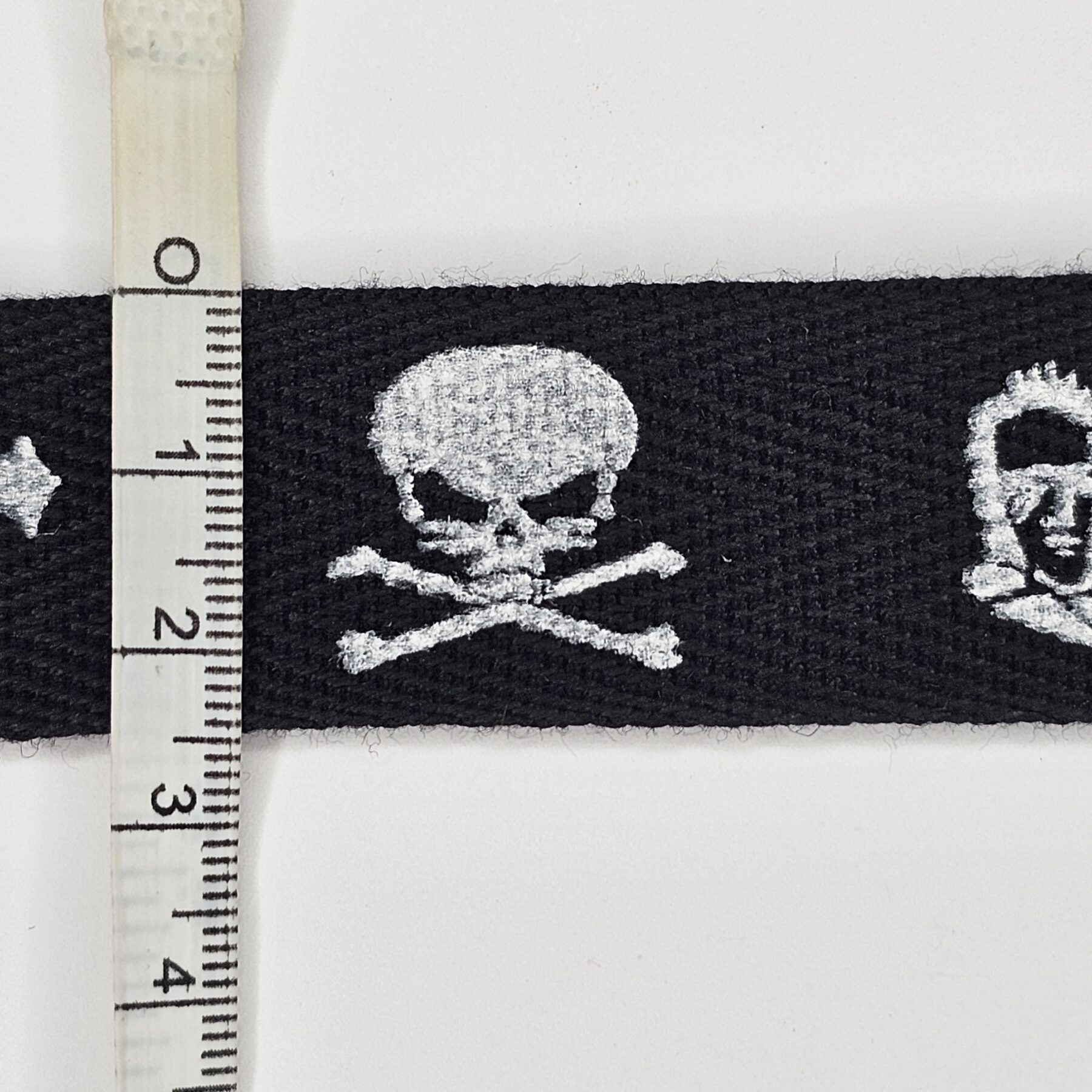 Skulls Trimmings - 3 metres - TP3007