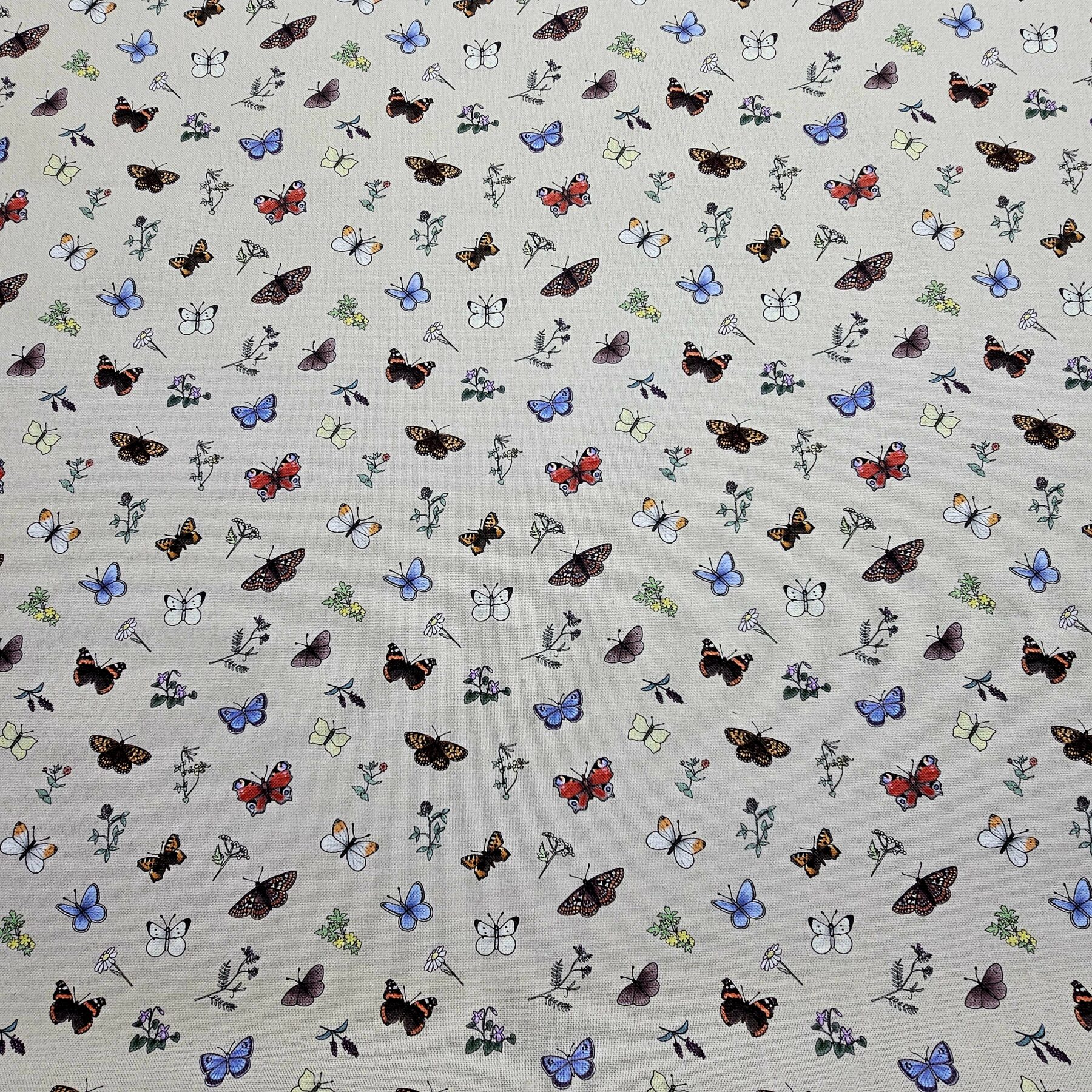 Panama 100% Cotton Fabric - Emma Lawrence Designs - Butterflies - CC254