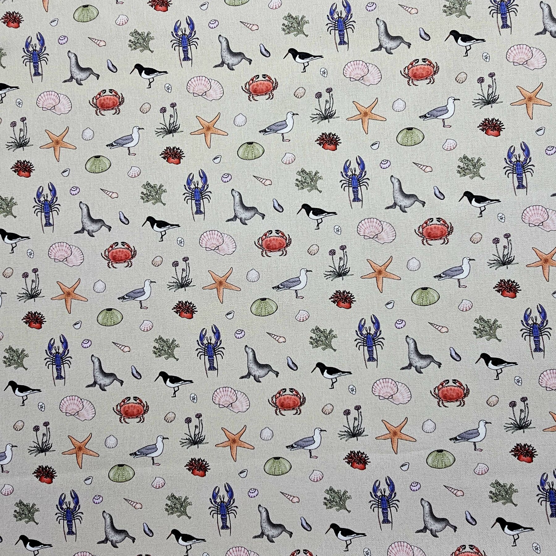 Panama 100% Cotton Fabric - Emma Lawrence Designs - Nautical - CC256