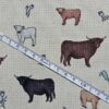 Panama 100% Cotton Fabric - Emma Lawrence Designs - Buffalo - CC258