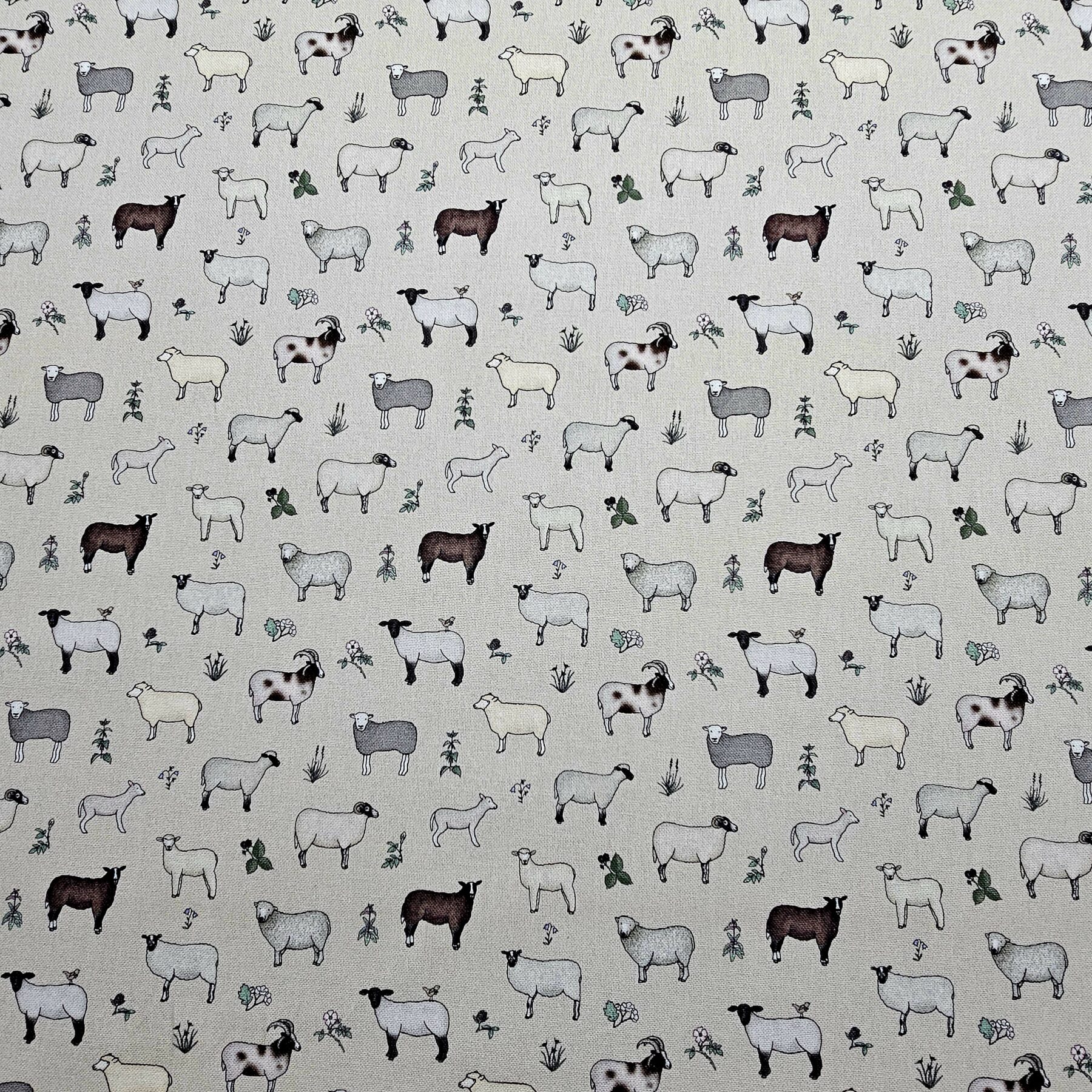 Panama 100% Cotton Fabric - Emma Lawrence Designs - Sheep - CC259