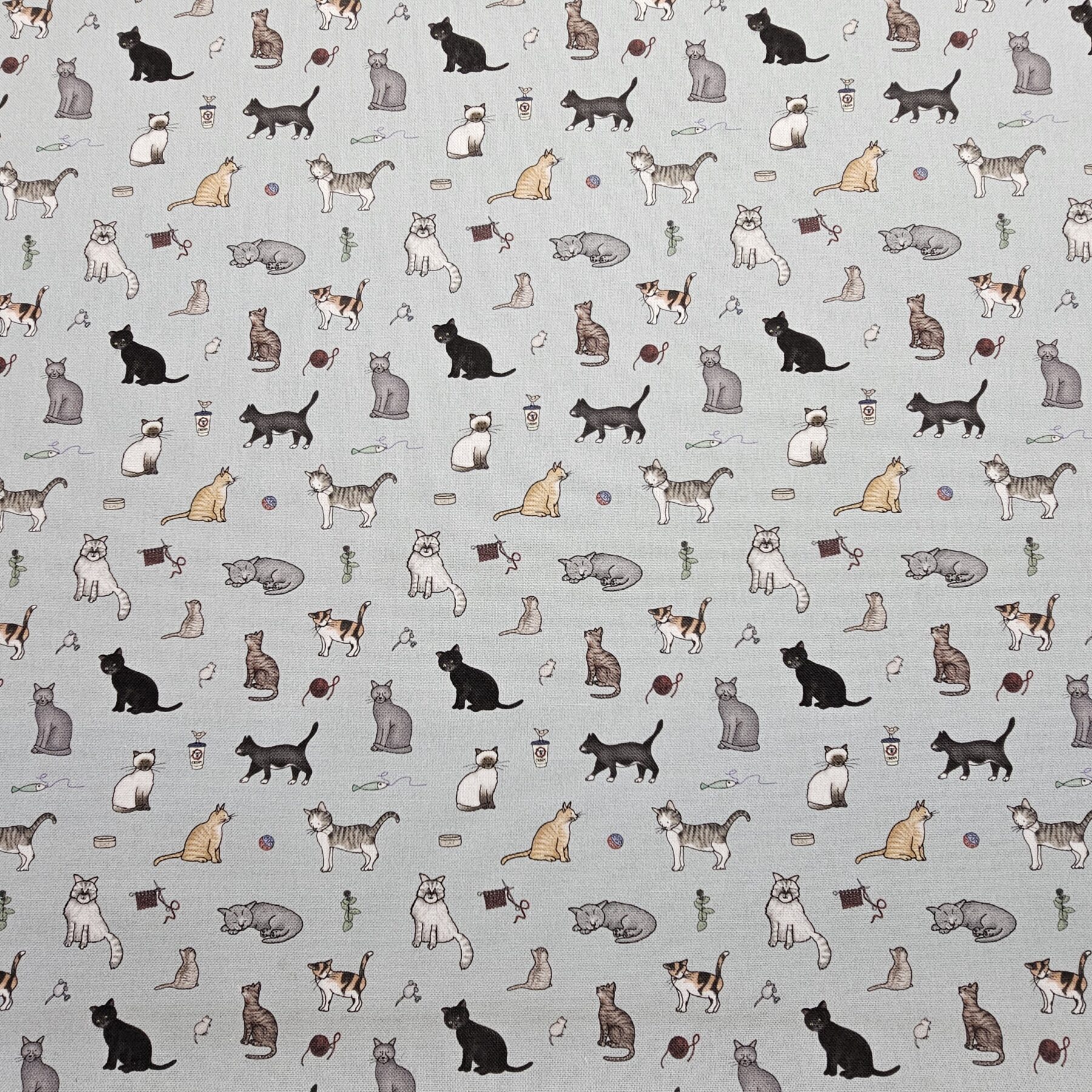 Panama 100% Cotton Fabric - Emma Lawrence Designs - Cats - CC262