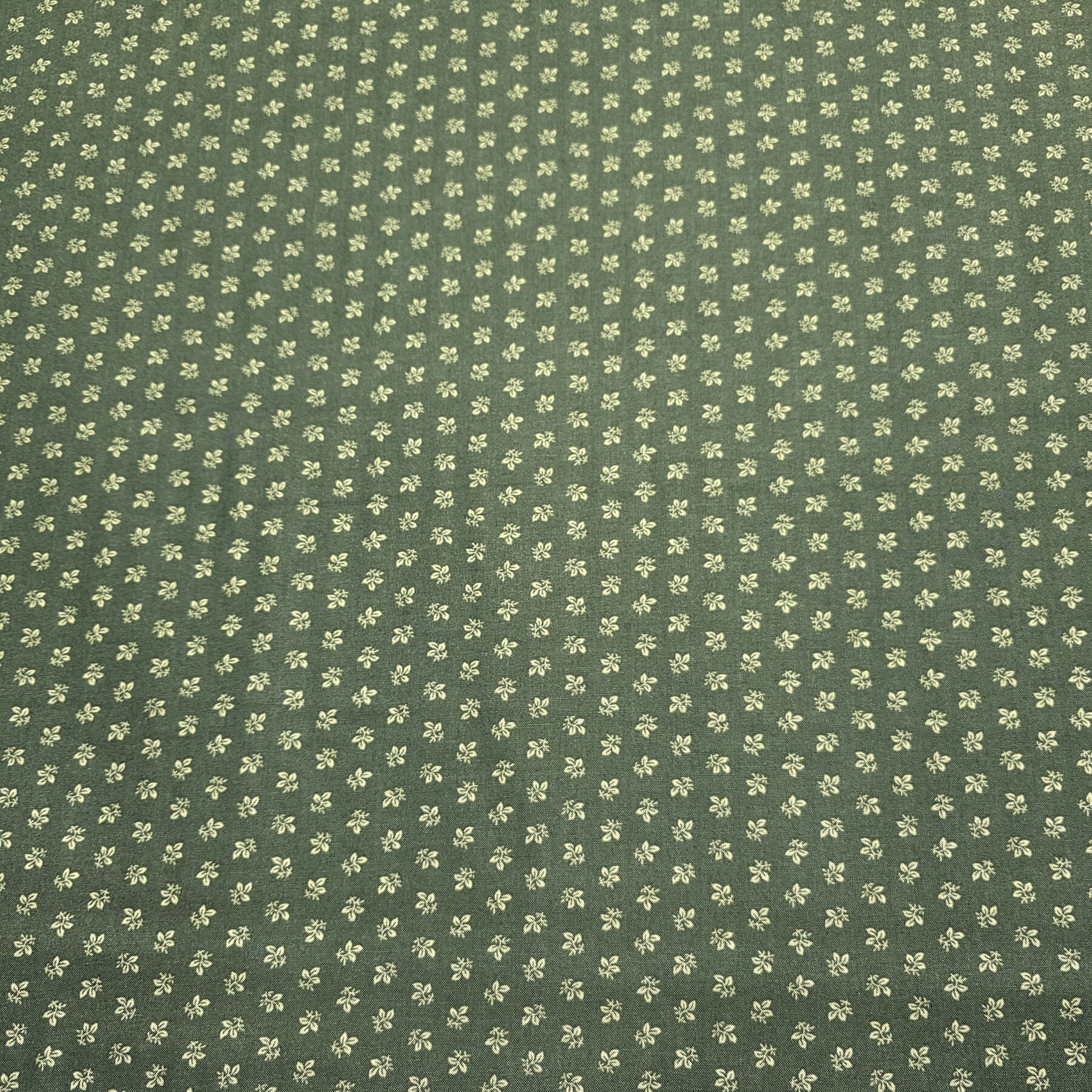 Andover - By Renee Nanneman - Leaflet - M206