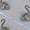 Cotton Canvas - Lemur - CC270