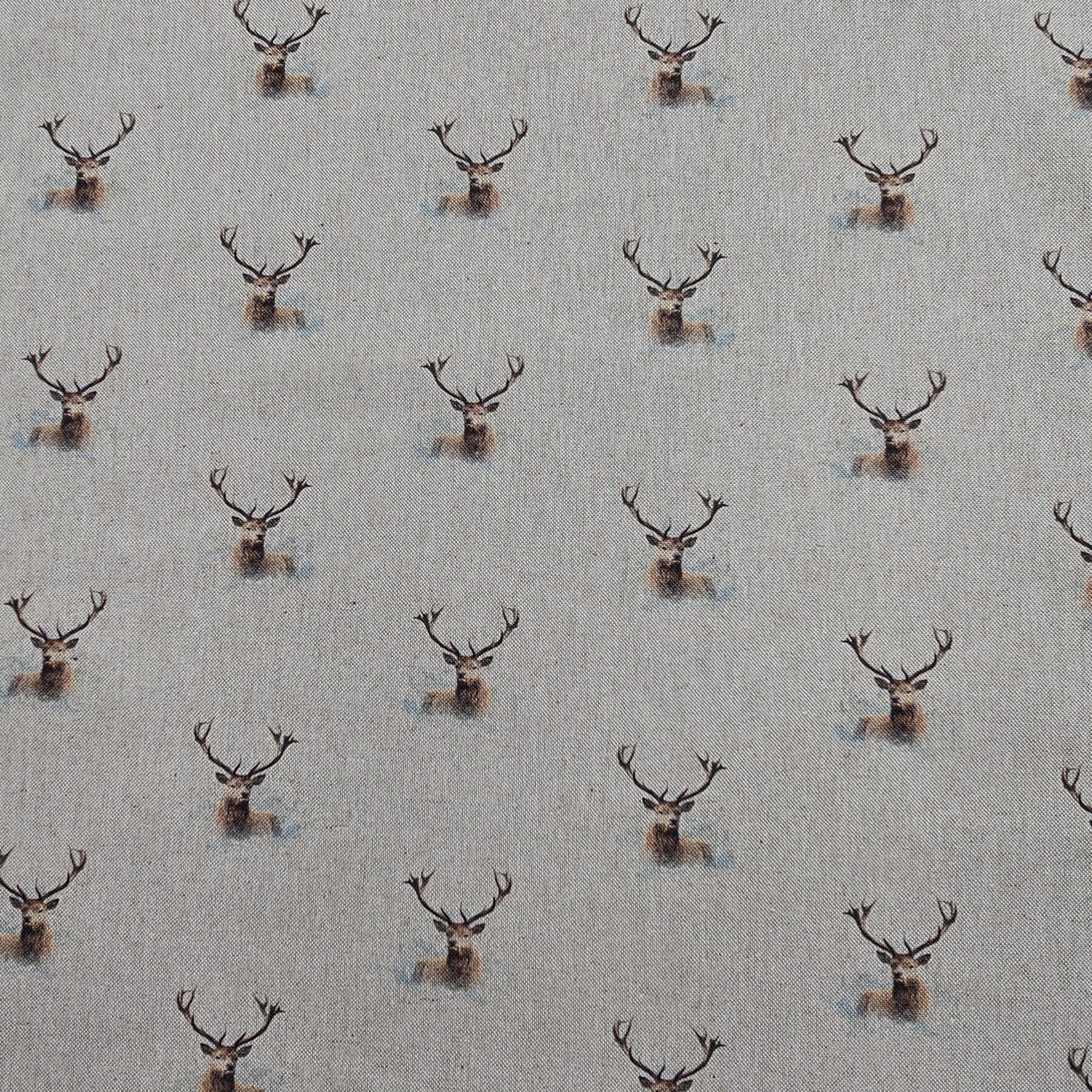 Cotton Canvas - Highland Stag - CC274