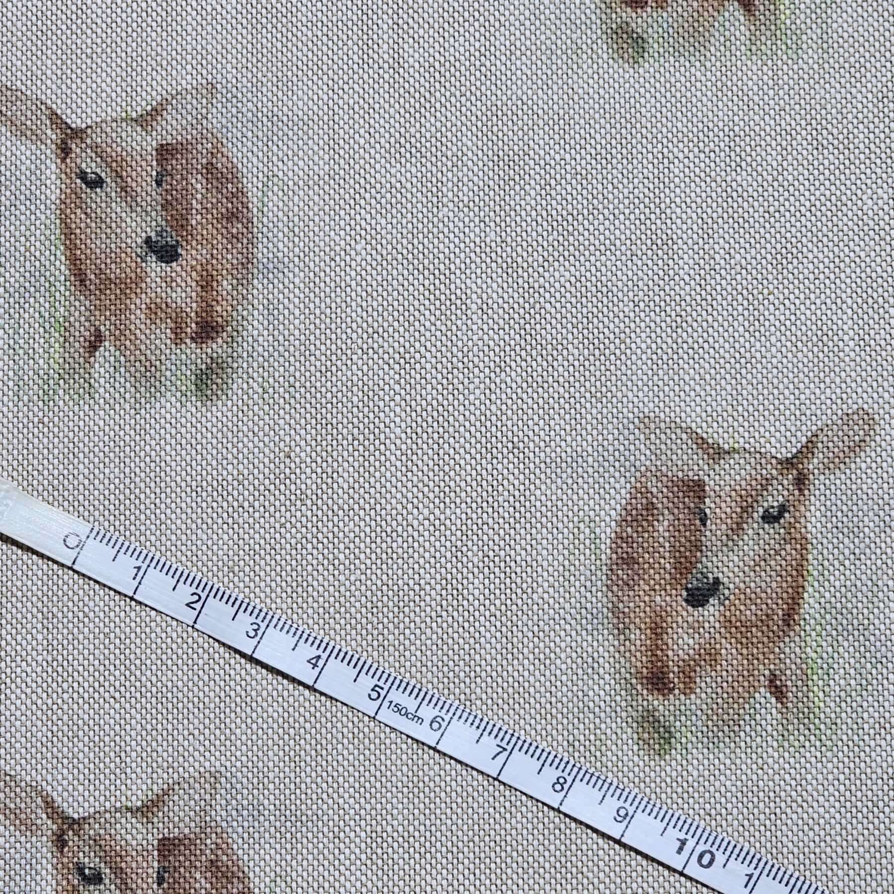 Cotton Canvas - Fawn Deer - CC273
