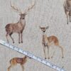 Cotton Canvas - Spey Deers - CC275