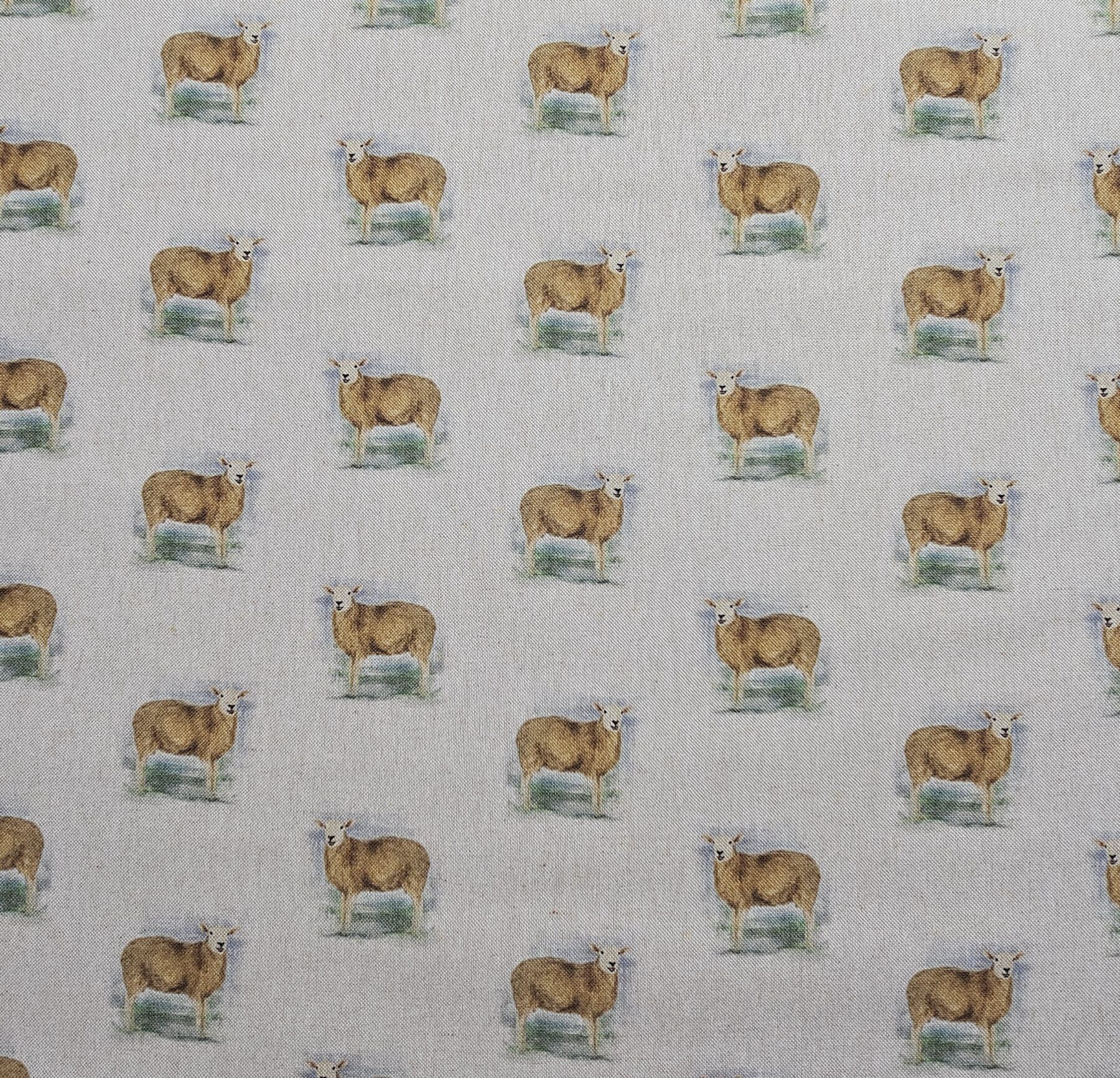 Cotton Canvas - Sheep - CC276
