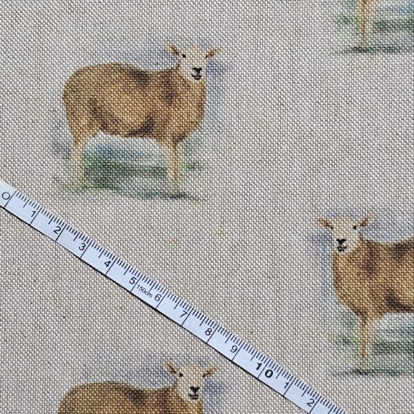 Cotton Canvas - Sheep - CC276