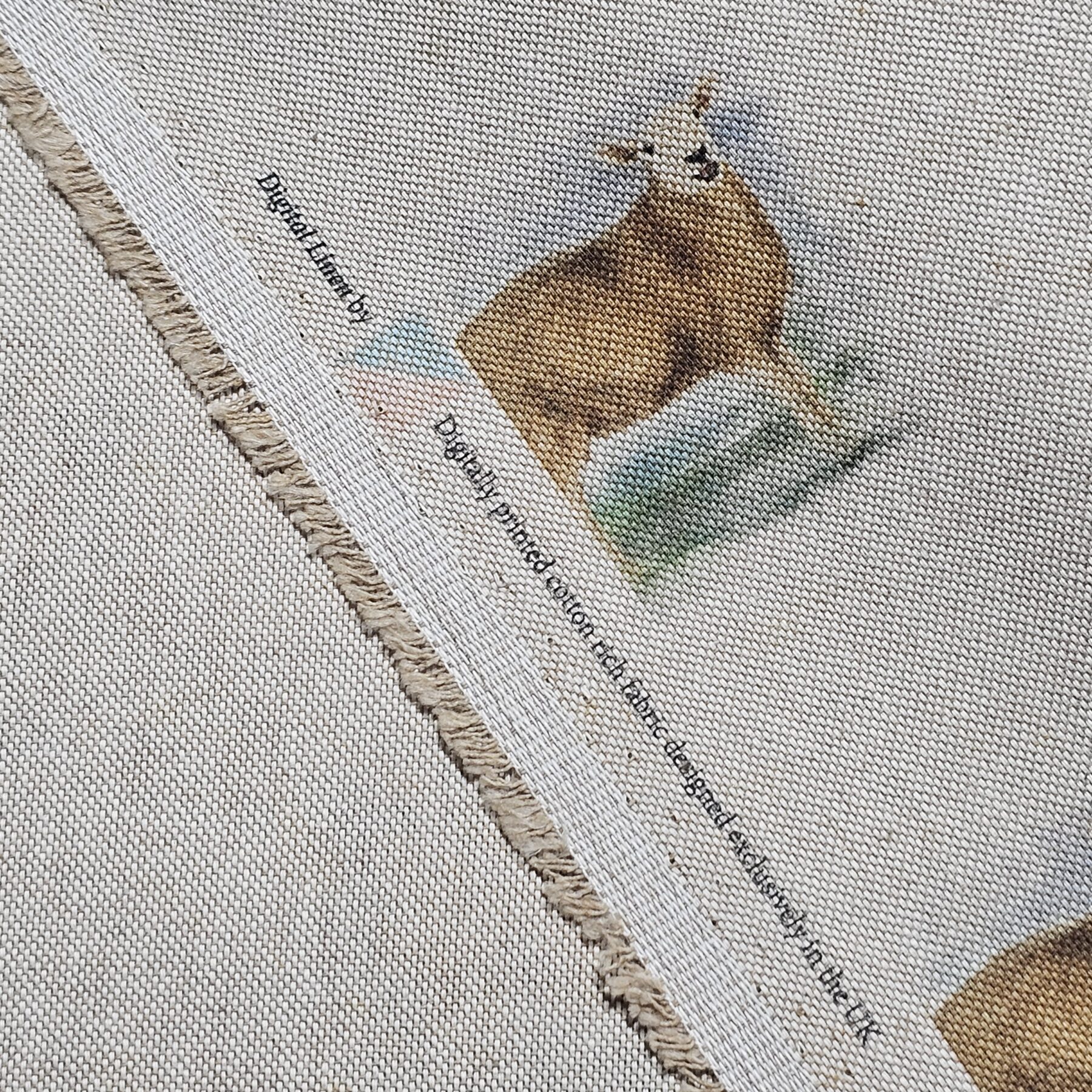 Cotton Canvas - Sheep - CC276
