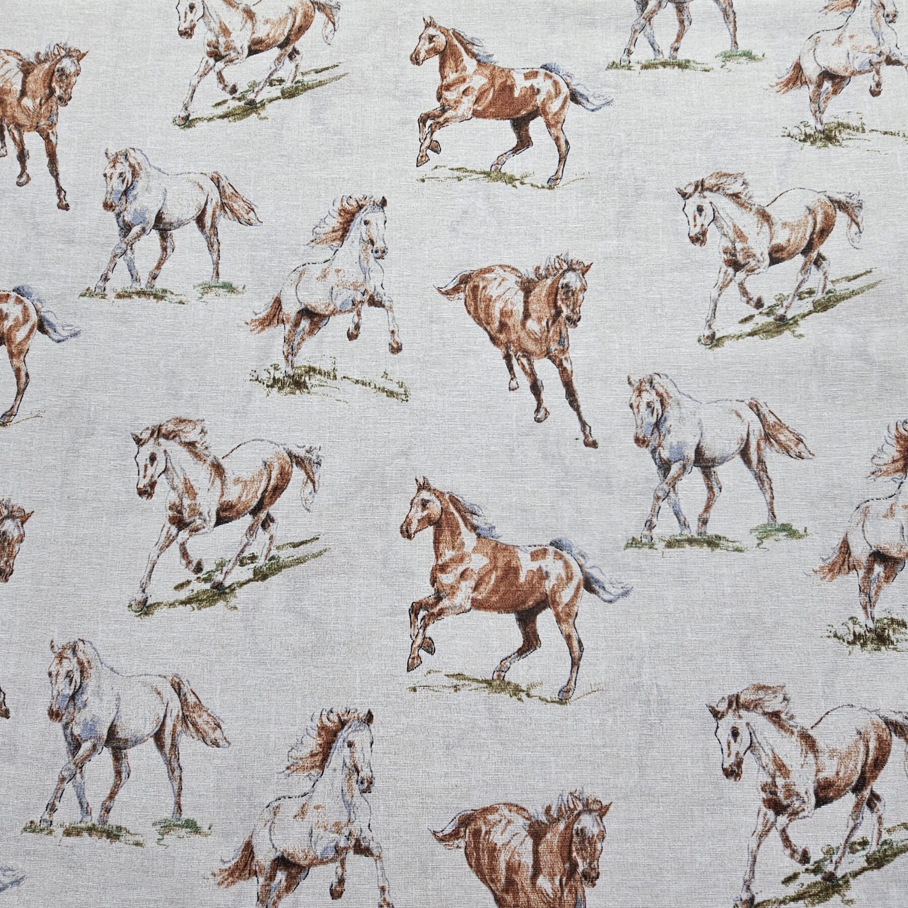 Cotton Canvas - Horses - CC277