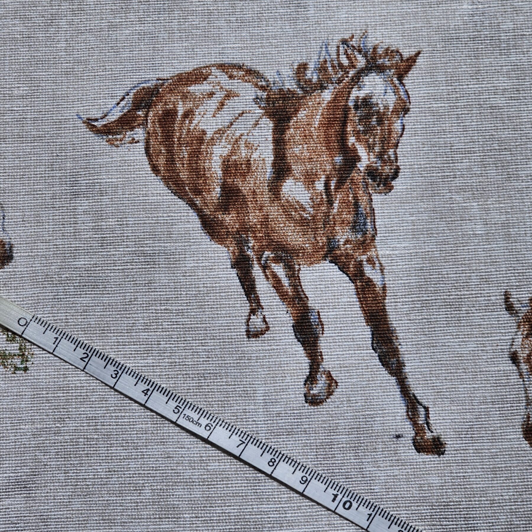Cotton Canvas - Horses - CC277