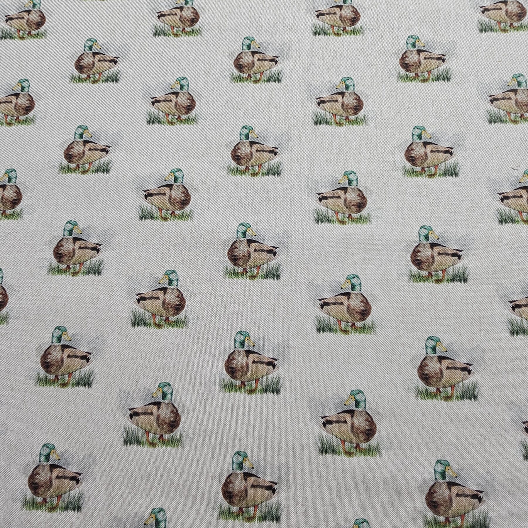 Cotton Canvas - Duck - CC278