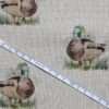 Cotton Canvas - Duck - CC278