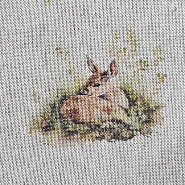 Cotton Canvas - Fawns - CC280