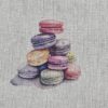 Cotton Canvas - Macaron - CC282