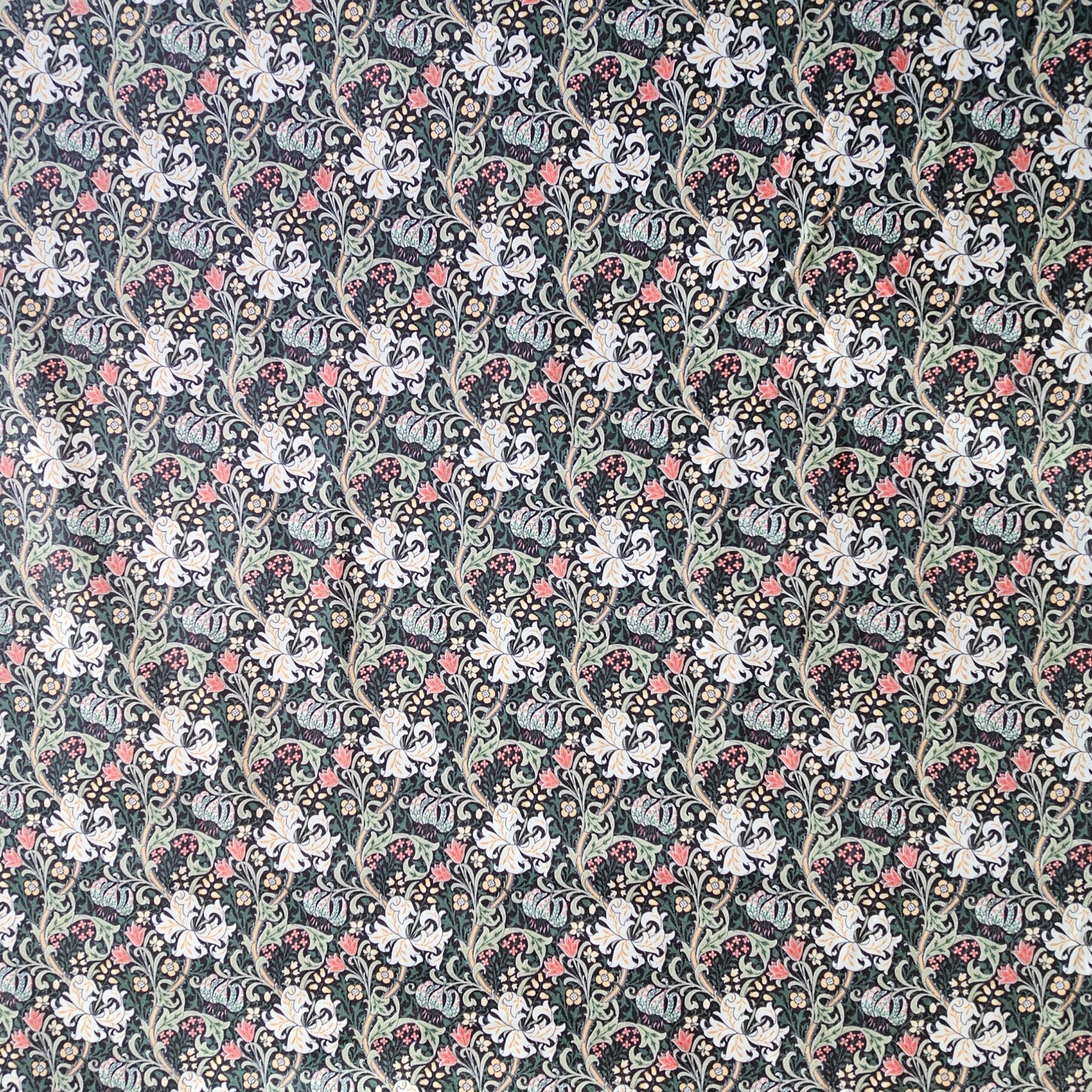 William Morris - Golden Lily - Night Bloom - CC001