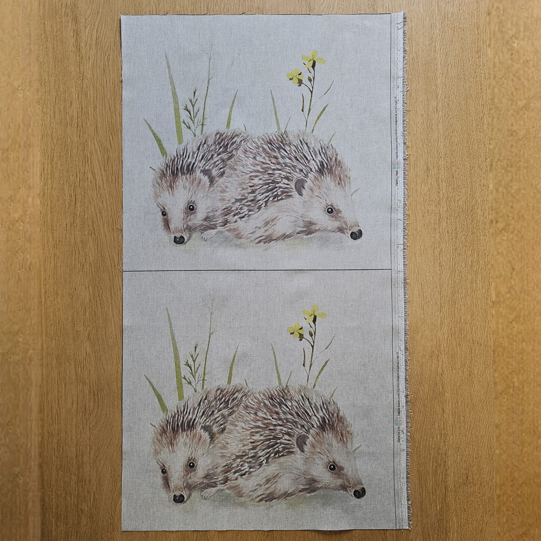 Fabric Panel - Hedgehog - Panel 16