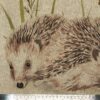 Fabric Panel - Hedgehog - Panel 16